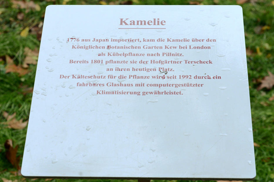 Längst sind die Infos überholt - das Schild aber bleibt vorerst.