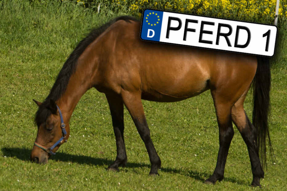 Ganz so groß, wie beim Auto, werden die Schilder allerdings nicht ausfallen. (Bildmontage)