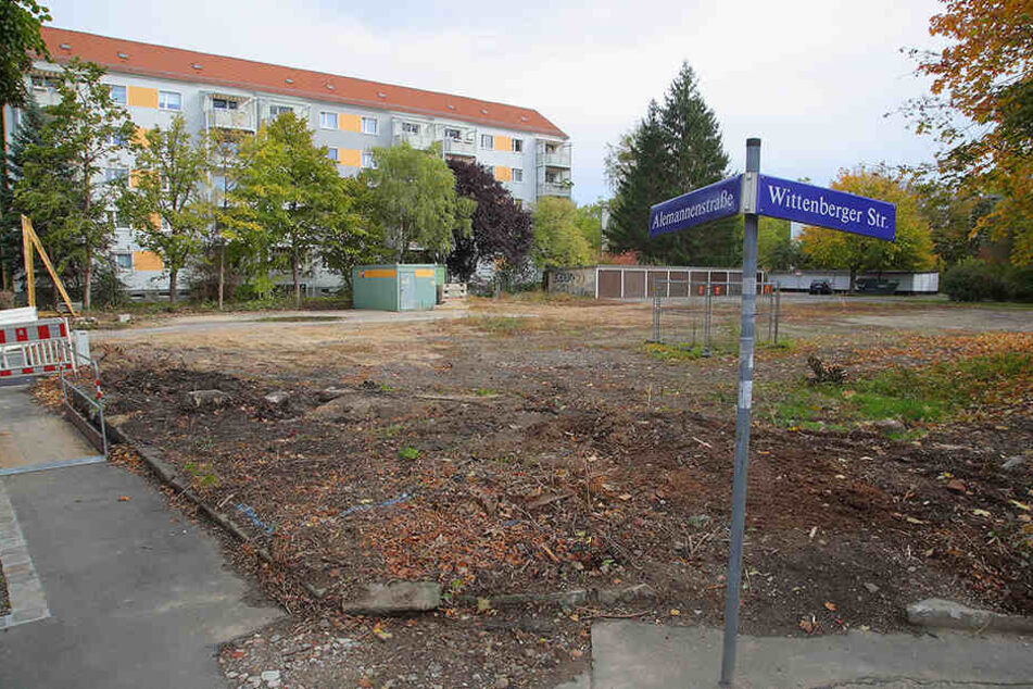 Auf diesem Grundstück an der Alemannenstraße rollen in den nächsten Wochen die Bagger an.
