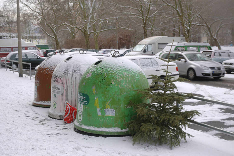 Neben die Altglascontainer gehört der Baum schon mal nicht.