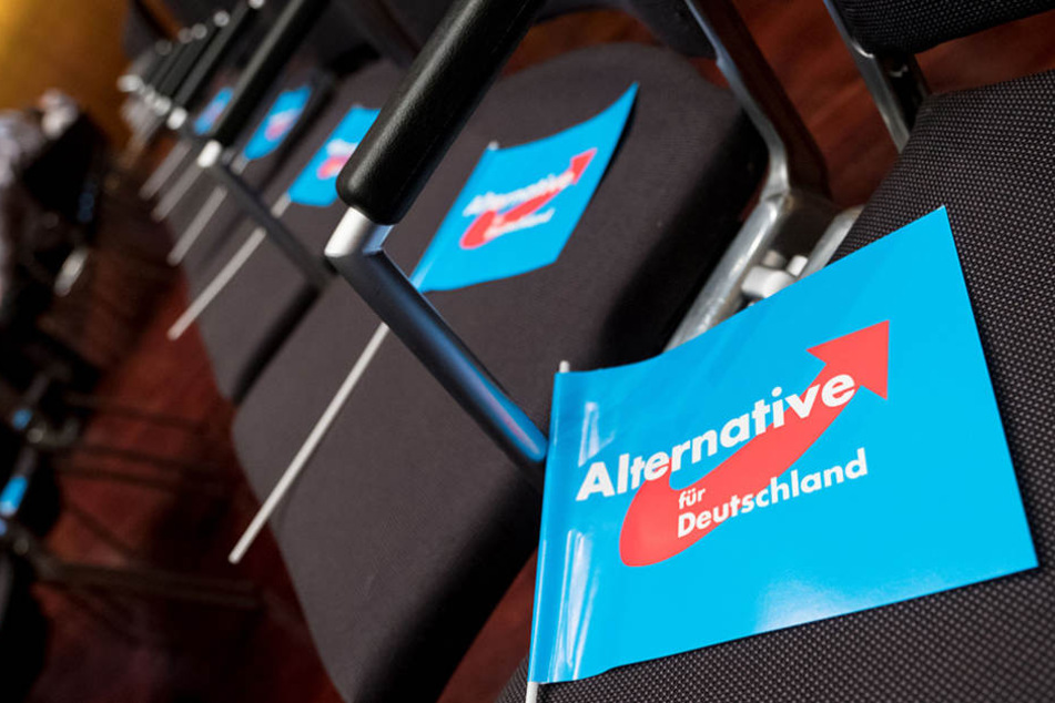 Wenn die AfD im Bundestag Platz nimmt, so soll künftig ein anderer Wind wehen.