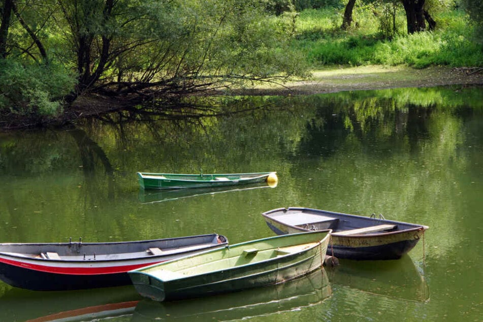 An der Siegaue in Bonn schlug der Täter zu.