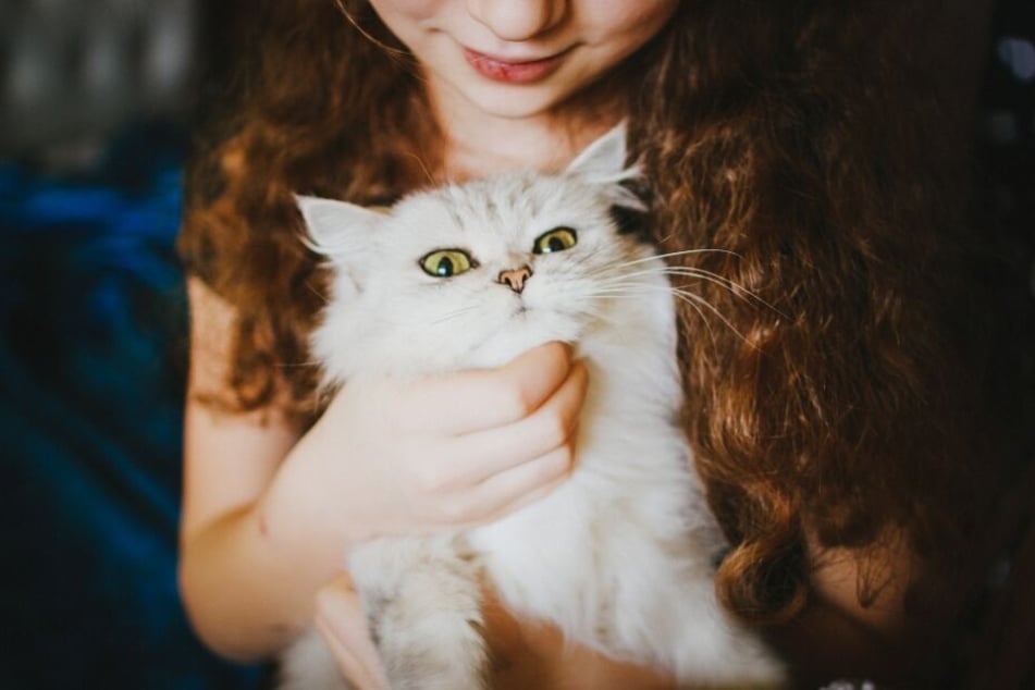 So Redet Man Richtig Mit Katzen