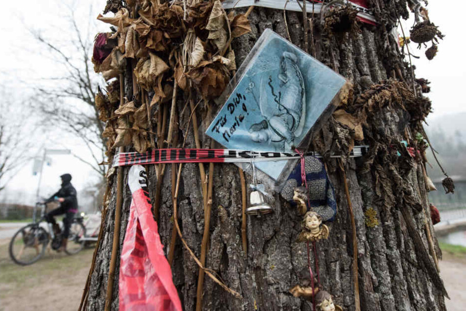 Diese Postkarte hing an einem Baum an der Dreisam, wo die Freiburger Studentin vergewaltigt wurde.
