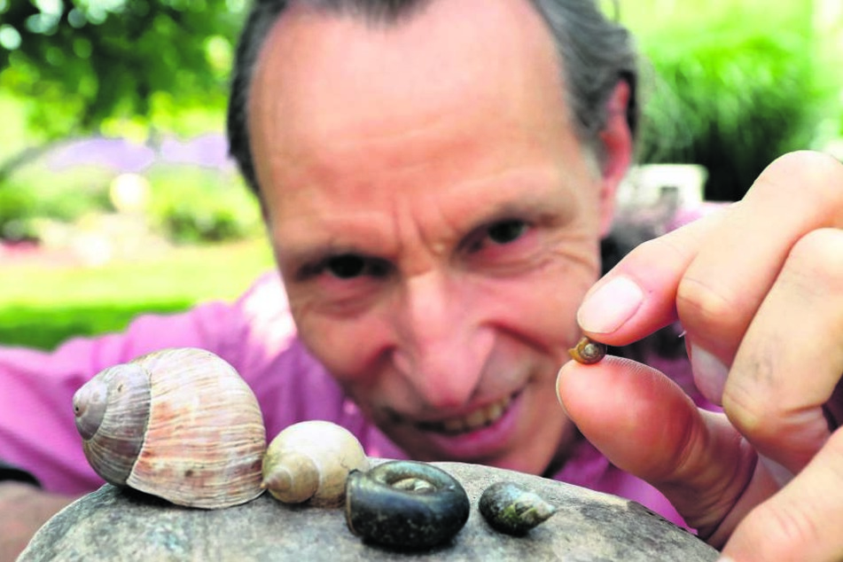 Frank Borleis (58) hat ein Herz für Kriecher.