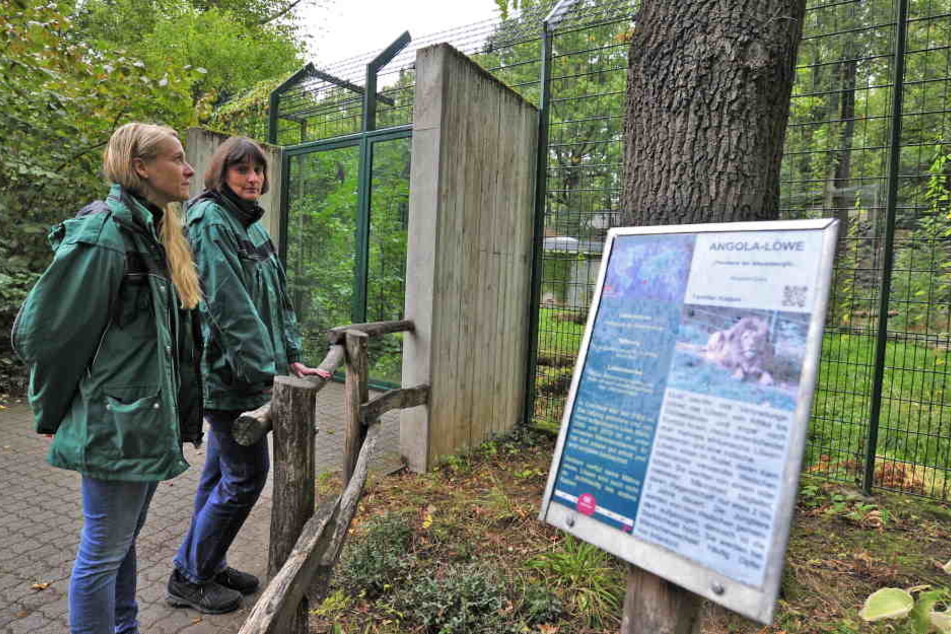 Tierpark-Leiterin Anja Dube (48) und Tierärztin Peggy Heinze (41) schauen traurig in Maliks leeres Gehege.