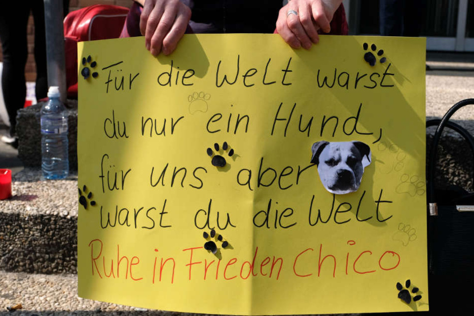 Mit Plakaten wie diesen demonstrierten die Teilnehmer für Chico.