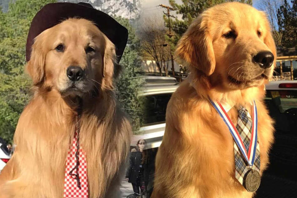 Major Max ist nun Bürgermeister der Stadt Idyllwild.