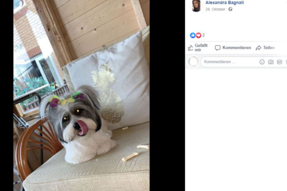 Der Hund von Alexandra Bagnall konnte sich vom Todes-Köder befreien.