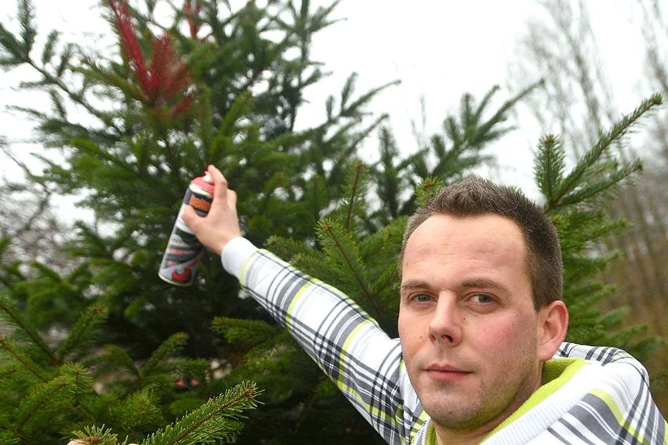 Mit rosa Farbe und GPS hat Sebastian Schäfer (30) die Tannen seines Vaters aufgerüstet.