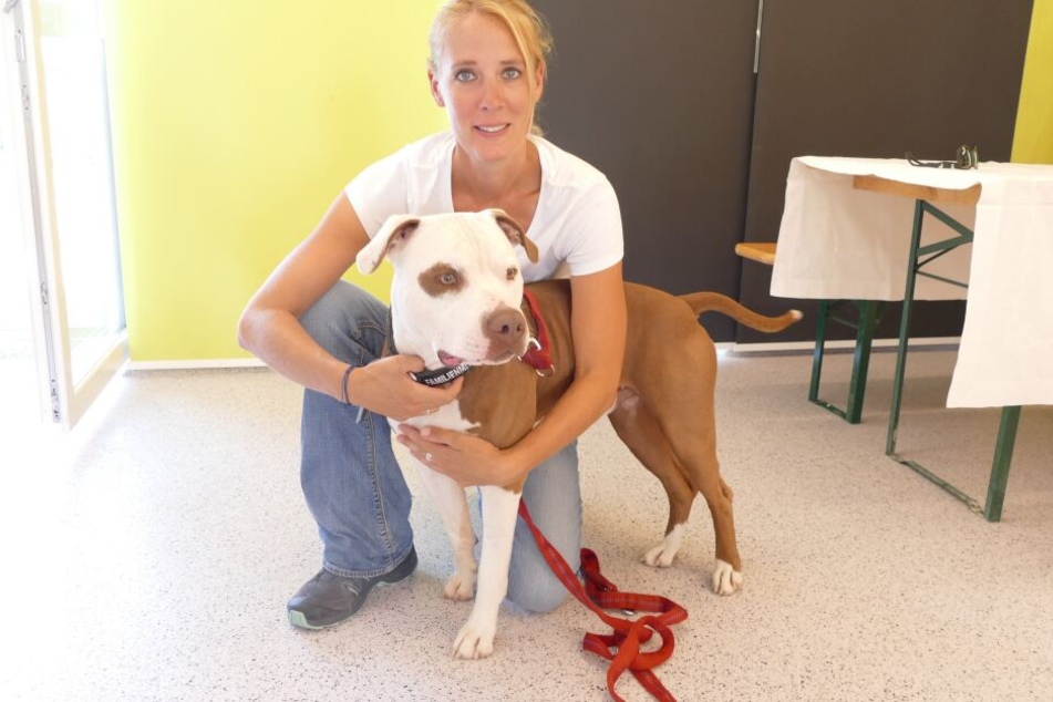 Trainerin Nina Jank hält den American Staffordshire Rüde Popeye im Arm.