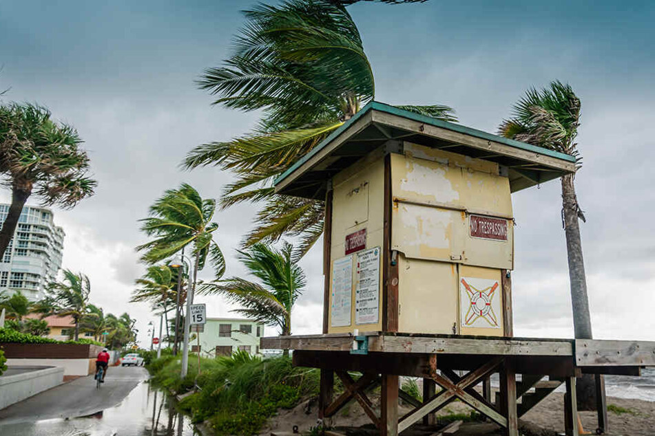 Der Wind weht am Hollywood Beach. Die Küstenregionen am Atlantik bereiten sich auf den Hurrikan vor.