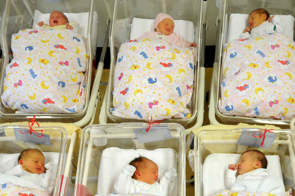 Baby Boom In Hamburg In Diesem Stadtteil Kommen Die Meisten