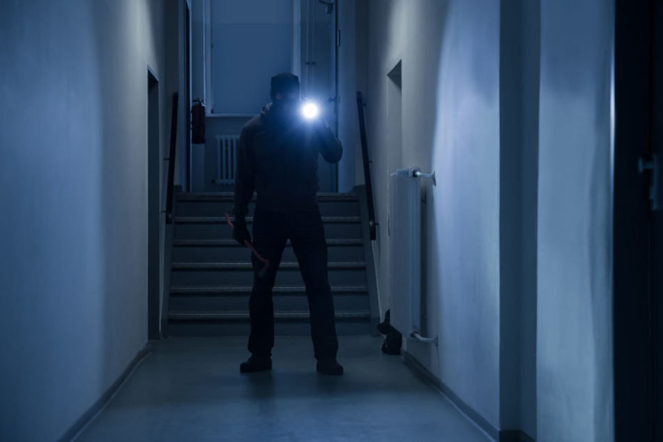 Die Täter hatten es auf mehrere Keller in Mehrfamiliehäusern abgesehen.