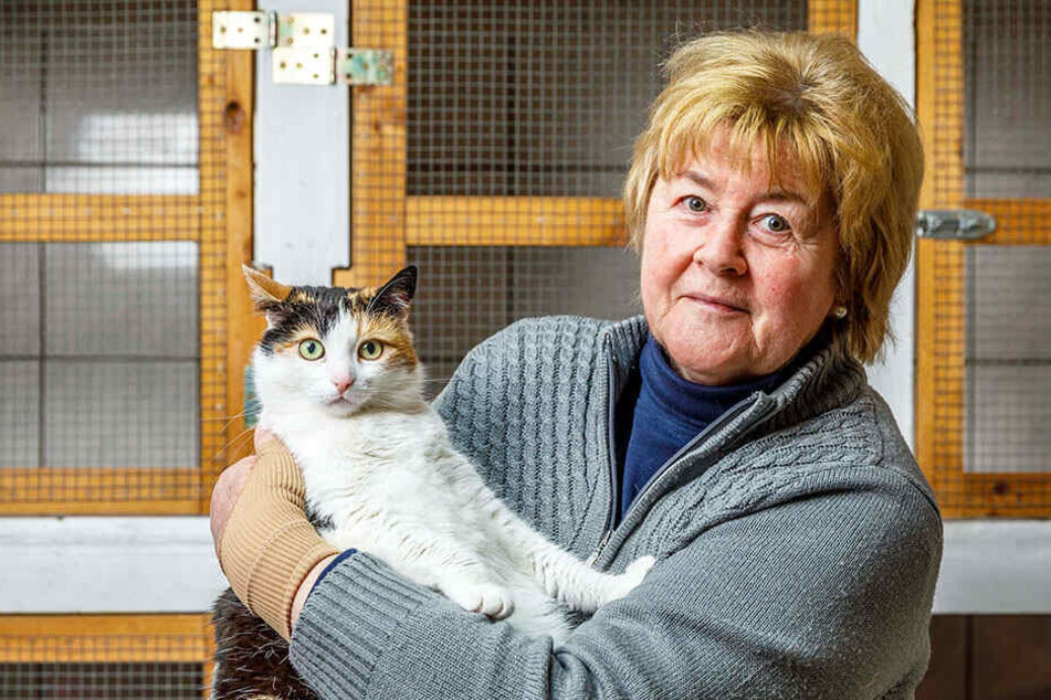 Katzen-Mama und Tierheim-Leiterin Christina Koch (69) mit Mieze Muzel.