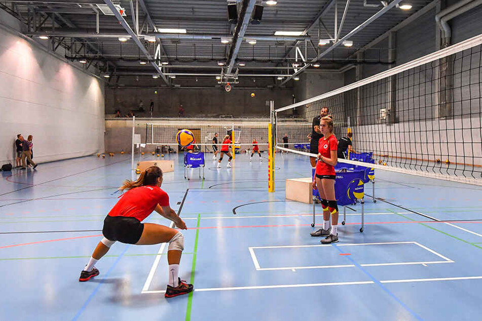Die Ballspielhalle in der EnergieVerbund Arena ist für den DSC das neue Zuhause in der Saisonvorbereitung.