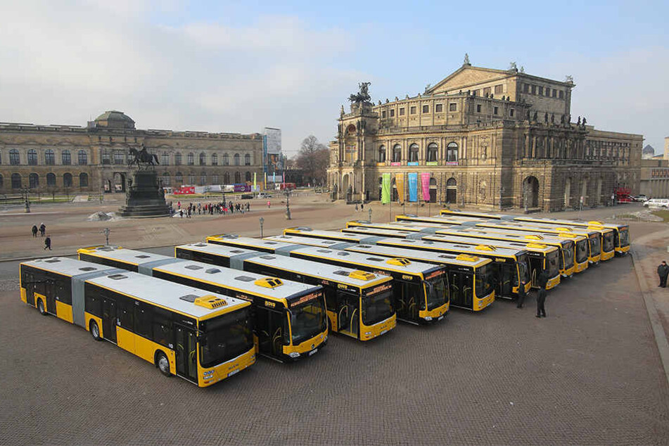 Fein aufgereiht präsentierten die DVB ihre neuen Mega-Busse vor der
Semperoper.