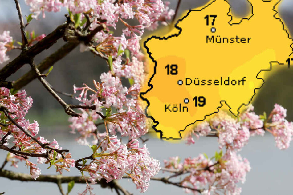 Nordrhein-Westfalen bekommt am Freitag und Samstag schönstes Frühlingswetter.