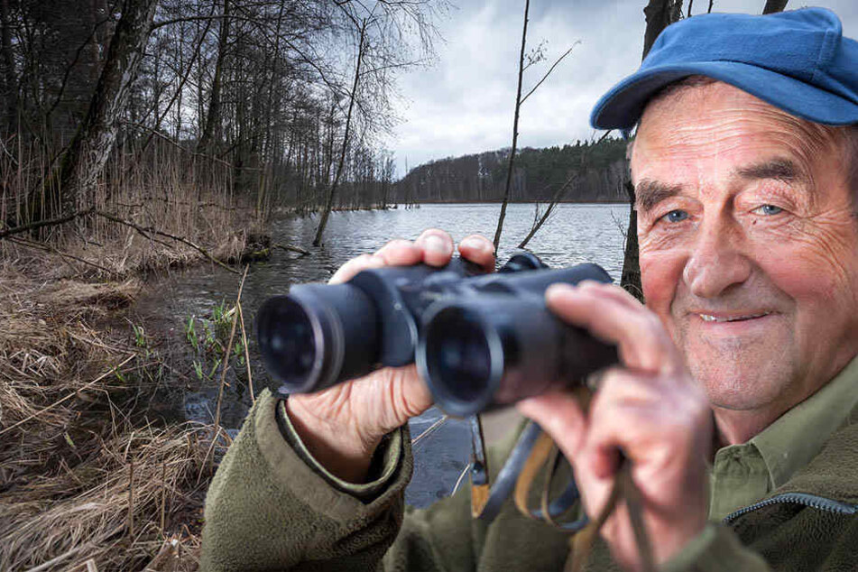 Für Udo Dettloff (76) ist der
Höhepunkt eines jeden Kontrollgangs,
wenn er einen Biber
sieht. Allerdings kommen die
nachtaktiven Tiere erst nach
der Dämmerung raus.