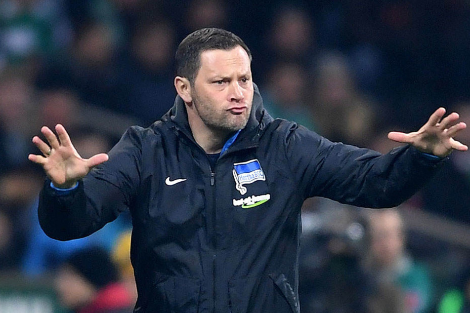 Viel zu korrigieren gab es für Pal Dardai nicht.