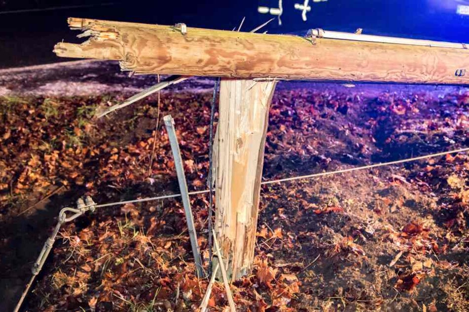 Das Auto war gegen einen Telefonmast geknallt, der daraufhin umfiel.