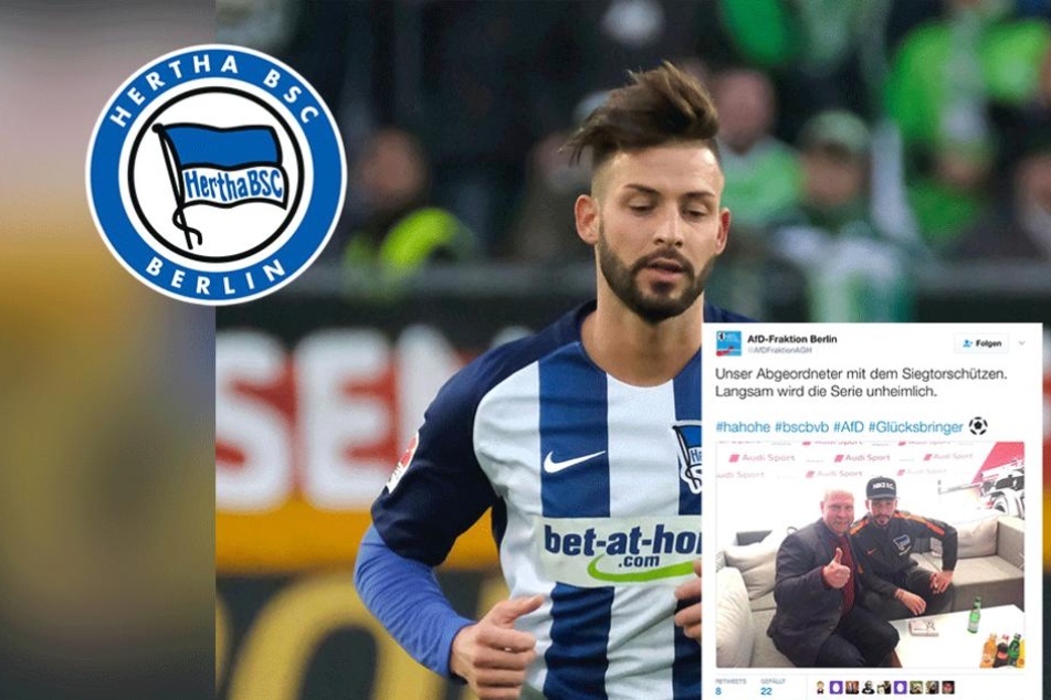 AfD macht Werbung mit Hertha-Star - TAG24 - TAG24