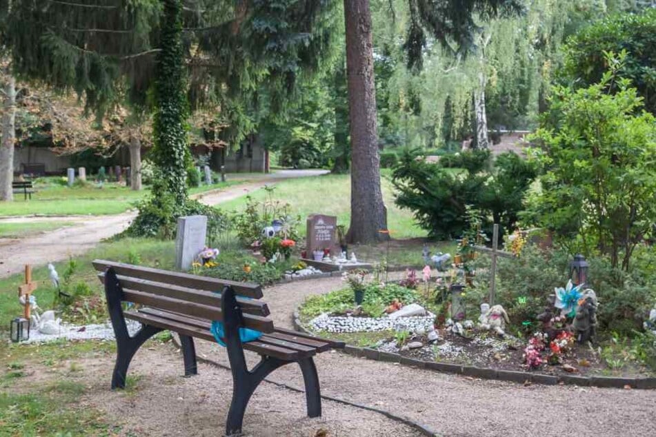 Von Kindergräbern auf dem Hauptfriedhof in Zwickau wurden schon oft Blumen, Schmuck und Spielzeug gestohlen.
