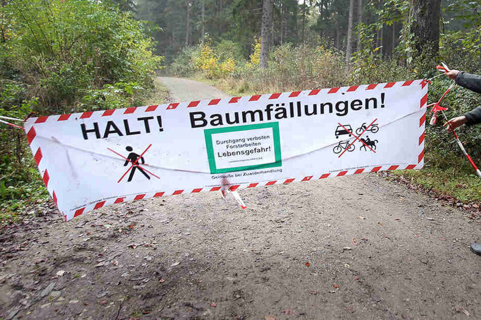 Dieses Banner kann Leben retten. Zu übersehen ist es nicht.