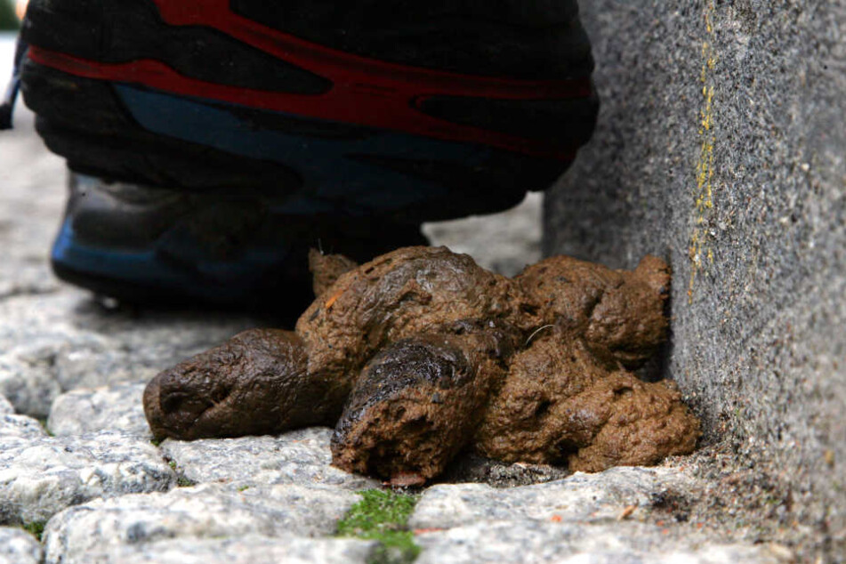 Tretminen sollen durch DNA nachvollziehbar werden. (Symbolbild)