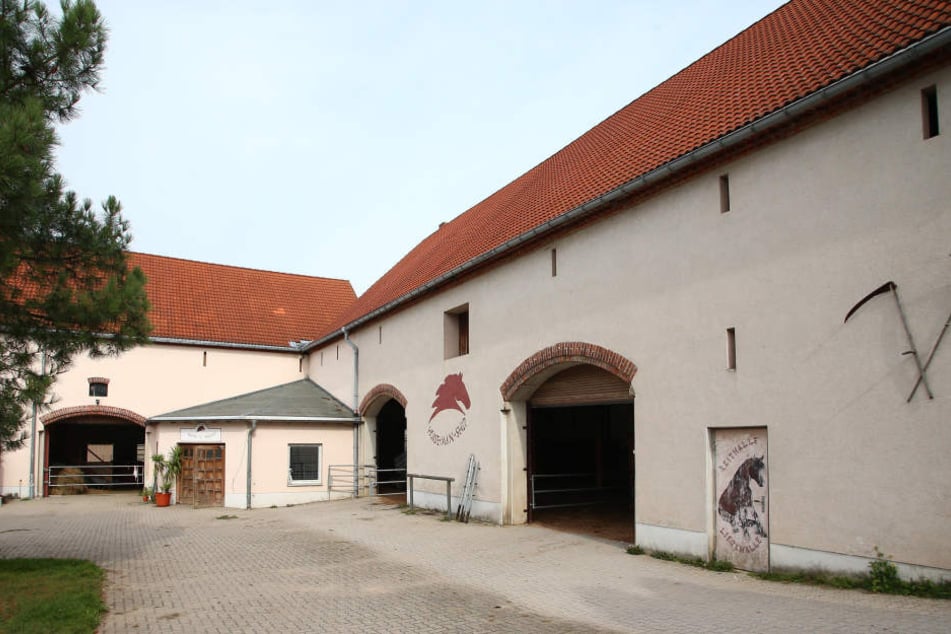 Auf diesem Gehöft in Bröhsen bei Grimma bildet Silke ihre Pferde nach der Methode von Pat Parelli aus.