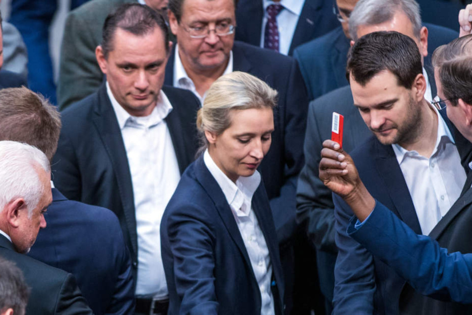 Wird von einigen Kollegen zum Rücktritt aufgefordert: AfD-Fraktionschefin Alice Weidel. (Symbolbild)