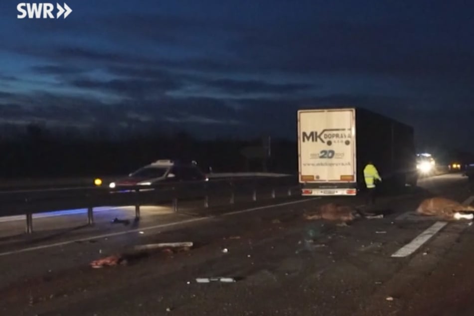 Auf der Autobahn 65 sind mehrere Autos in eine Horde Pferde gerast.