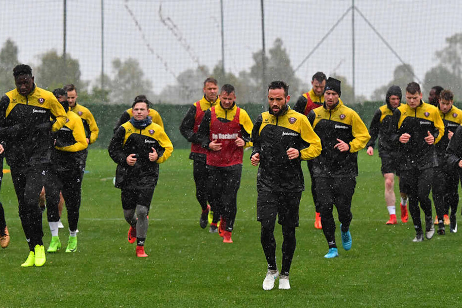 Volle Kapelle! Dynamo-Trainer Uwe Neuhaus kann derzeit die Qual der Wahl genießen, wenn es um das Finden der Startelf geht.