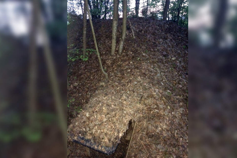 Das Foto zeigt den Eingang zu einer Erdbehausung in einem Steinbruch im Landkreis Lichtenfels.