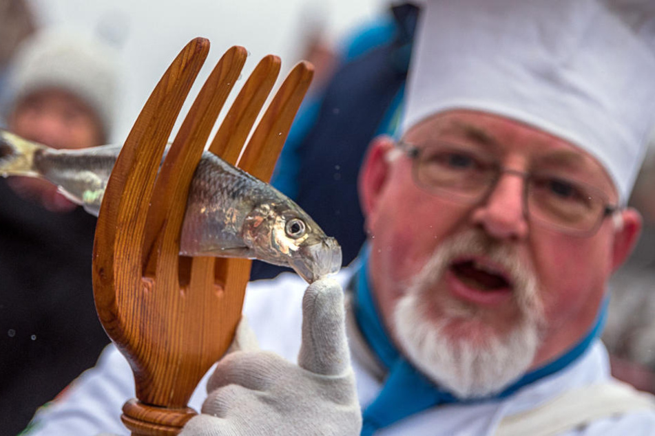 Gerald Frassek, Hanseatischer Köcheclub Wismarbucht: Wird der Hering zur Edelspeise?