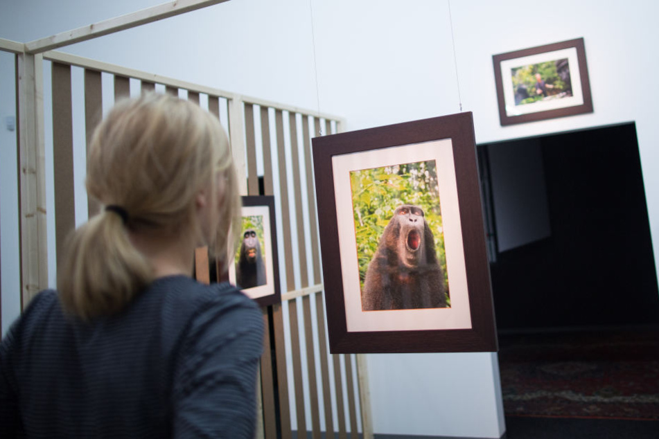 2015 wurde eine Reihe seiner Bilder bei einer Ausstellung in Düsseldorf gezeigt.