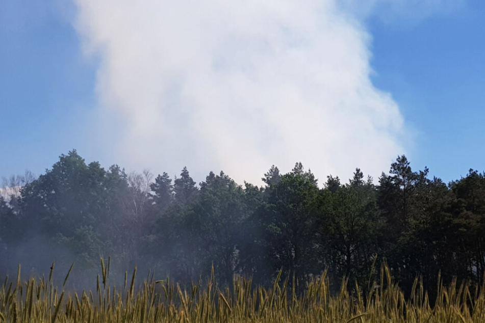 Der Rauch über dem Wald war weithin zu sehen.