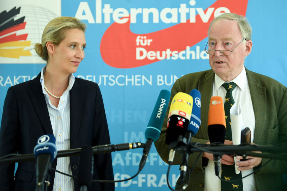 Sie sind die Gesichter der Partei: die AfD-Politiker Alice Weidel und Alexander Gauland.
