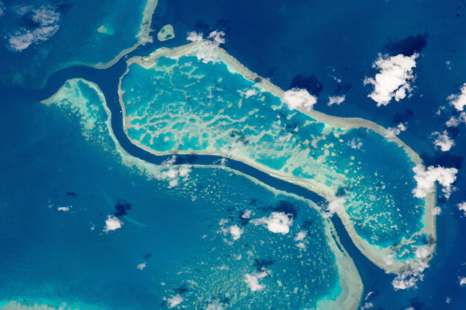Im Great Barrier Reef kam es bereits öfter zu Hai-Attacken.