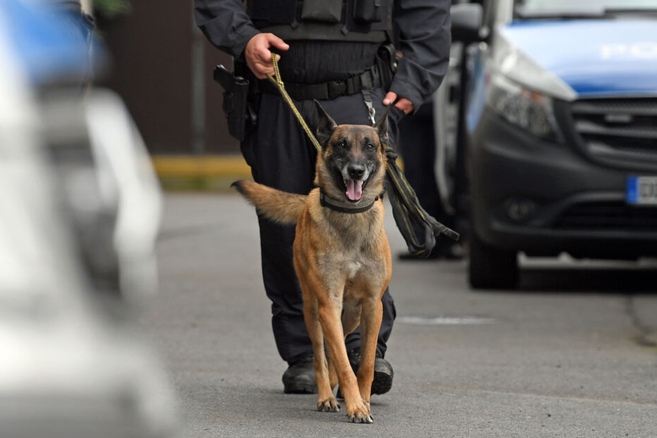 Der Polizeihund war nach der Attacke im Dezember 2015 eingeschläfert worden (Symbolbild).