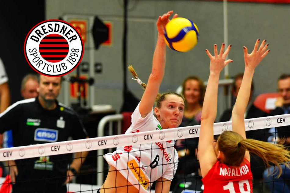 DSC Volleyball Bundesliga TAG24