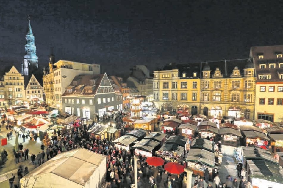 Ein prächtiger Baum soll‘s werden für den Zwickauer Weihnachtsmarkt. Die Abstimmung
startet am Montag.
