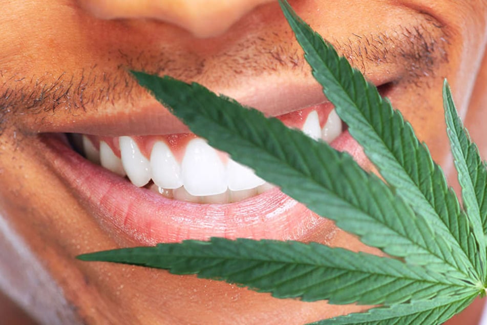 Cannabis? Für einen 17-jährigen handelte es sich nur um ein Mittel gegen seine Zahnschmerzen.