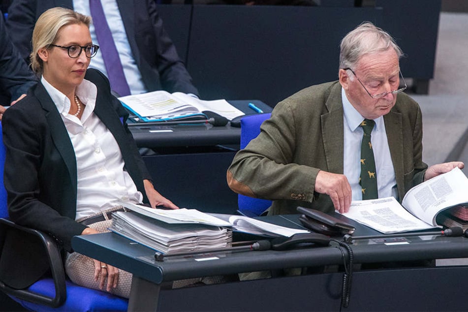 Bekommen auch Alice Weidel und Alexander Gauland, Fraktionsvorsitzende der AfD, künftig Zulagen?