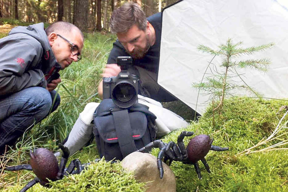 Sören Grochau (40, l.) und Michael Feindura (39) bei der Inszenierung eines
Spinnenangriffs im Wald.