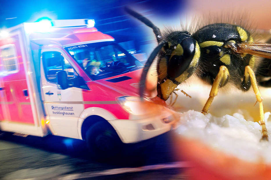 Weil der Fahrer von einer Wespe irritiert wurde, geriet er in den Gegenverkehr.