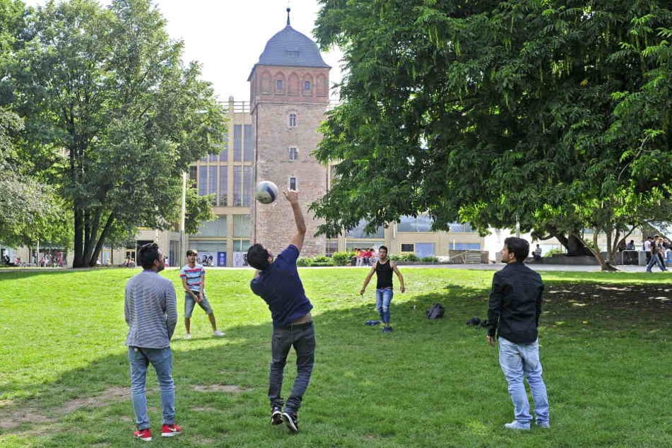 Das Rathaus will im Stadthallenpark das Ballspielen (F.) verbieten. So sollen
das Grün und die Blumenbeete vor Zerstörung bewahrt werden.