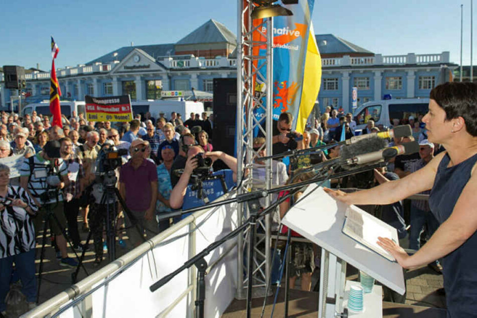 AfD-Chefin Frauke Petry.