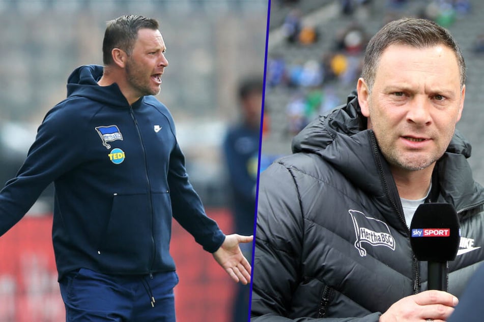 Pal Dardai ist seit 2015 Trainer bei Hertha BSC. (Bildmontage)