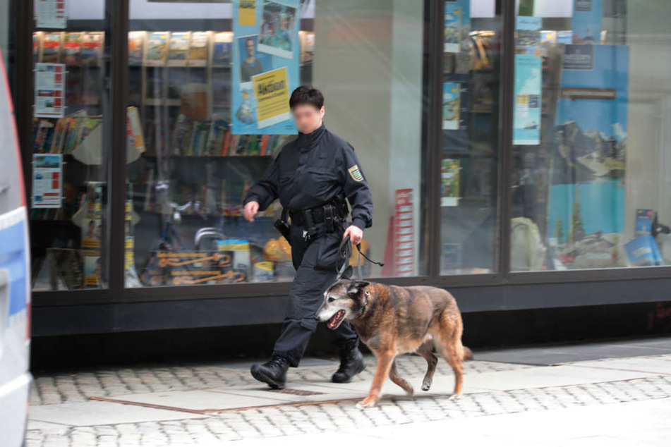 Der Sprengstoffspürhund konnte bislang nichts finden.